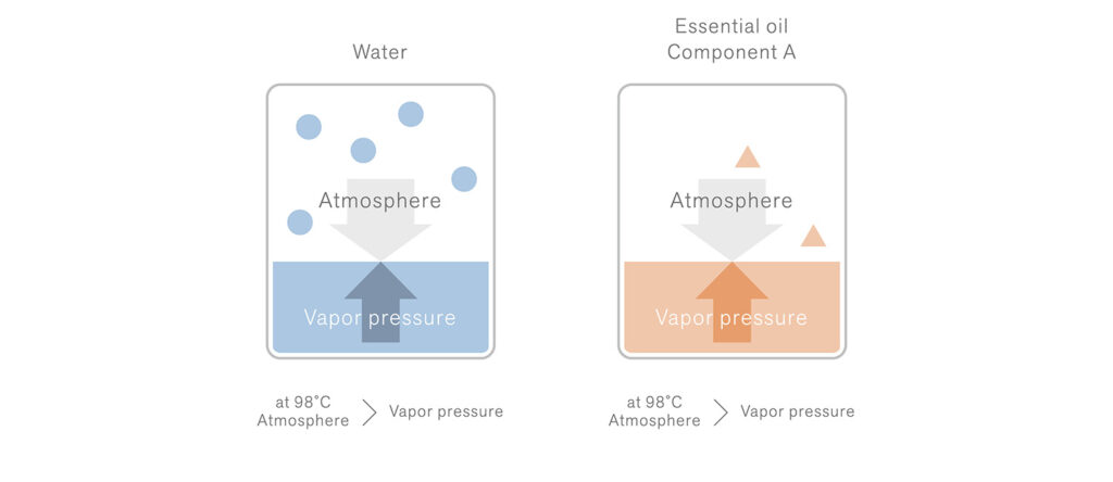 Steam Distillation