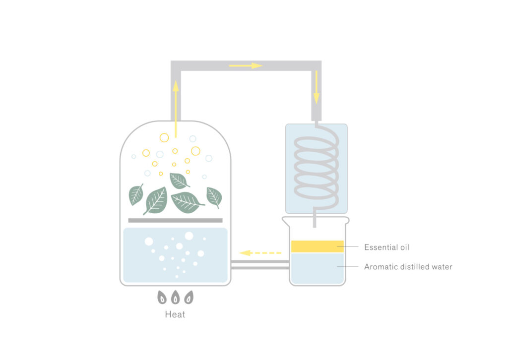 Steam Distillation