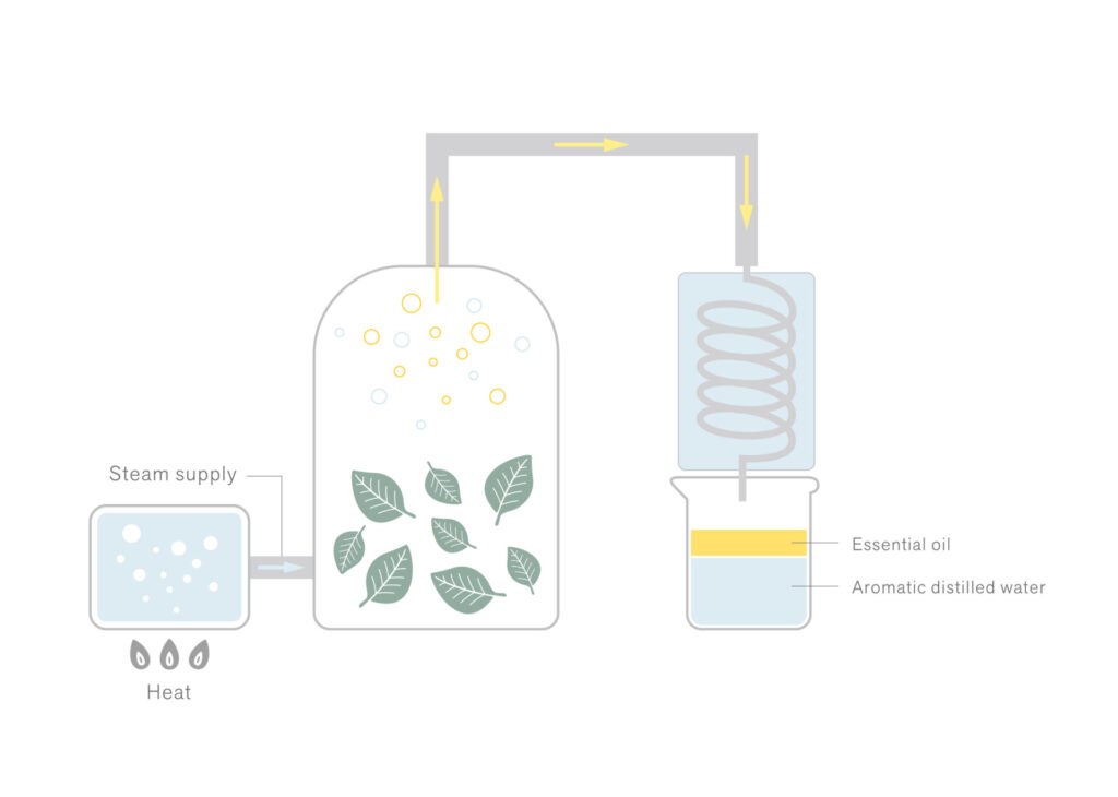 Steam Distillation