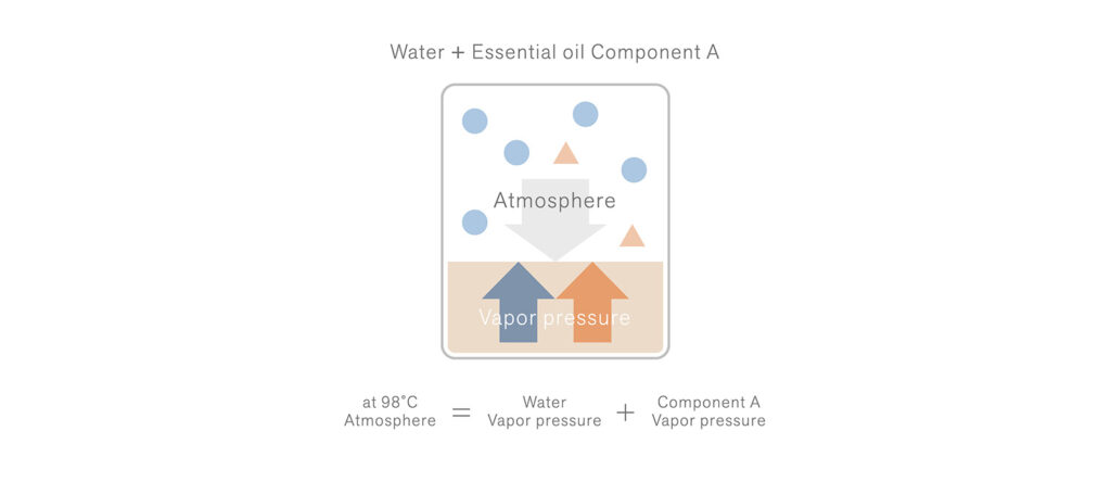 Steam Distillation