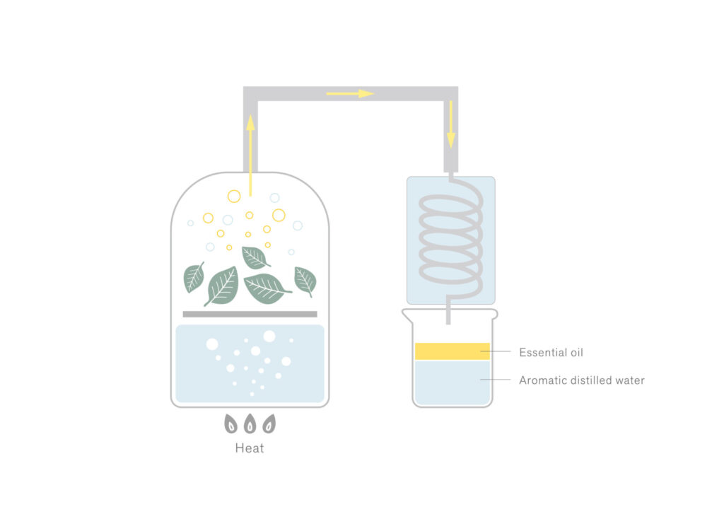 Steam Distillation