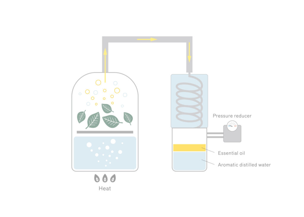 Steam Distillation