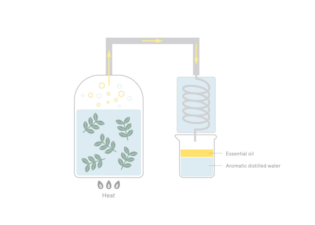 Steam Distillation