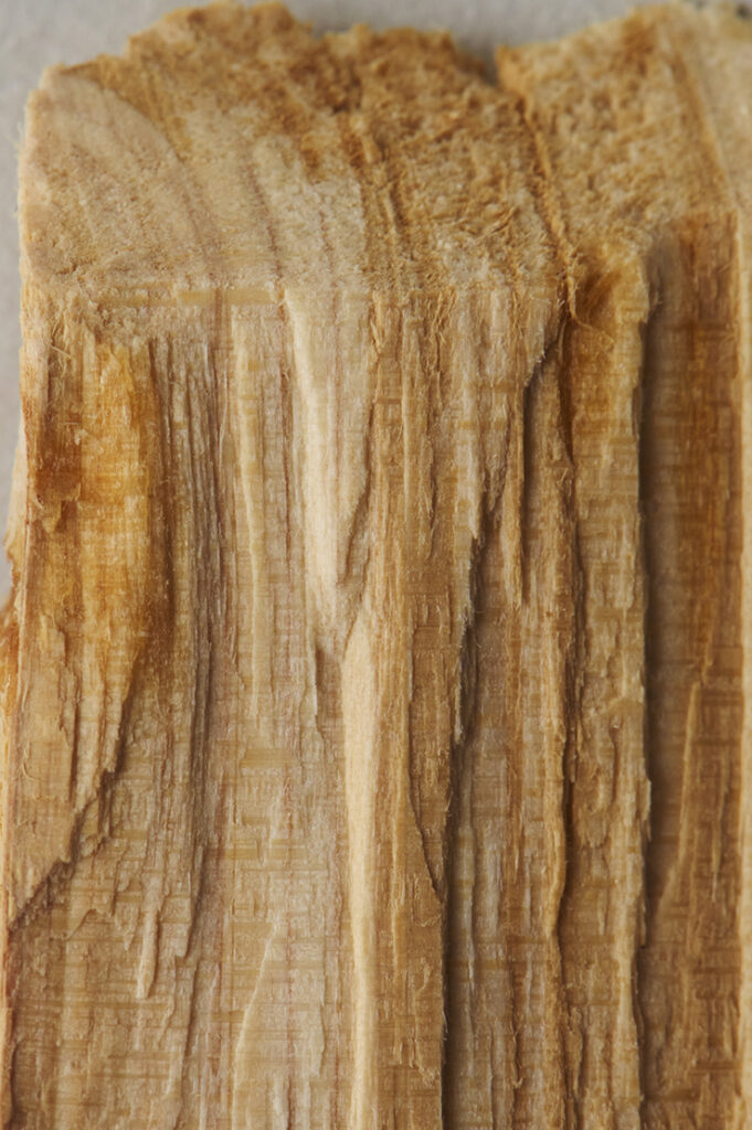 Hinoki