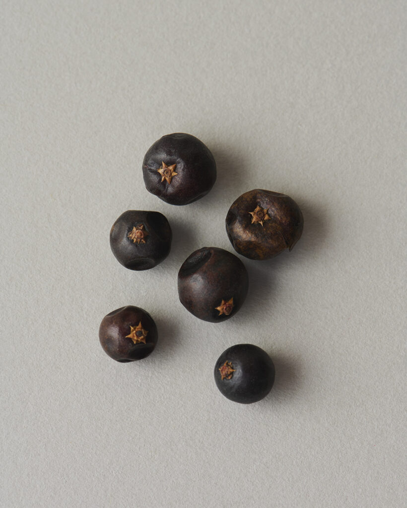 Common Juniper (Juniper Berry)