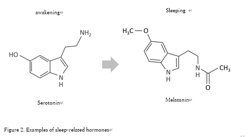About Sleep