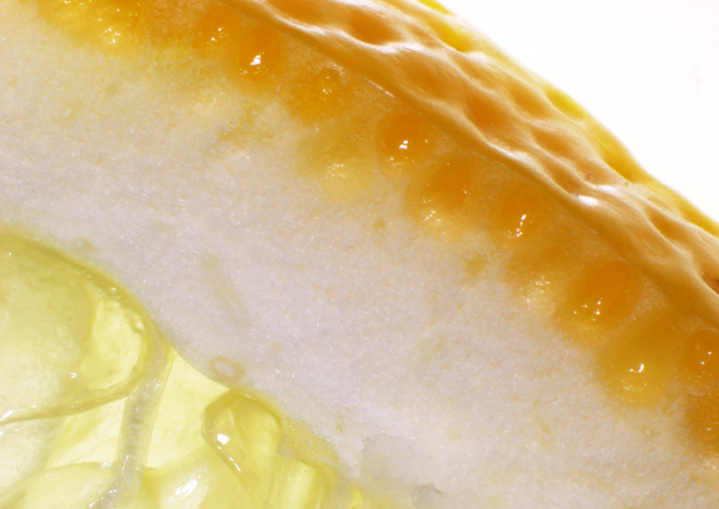 ビターオレンジ