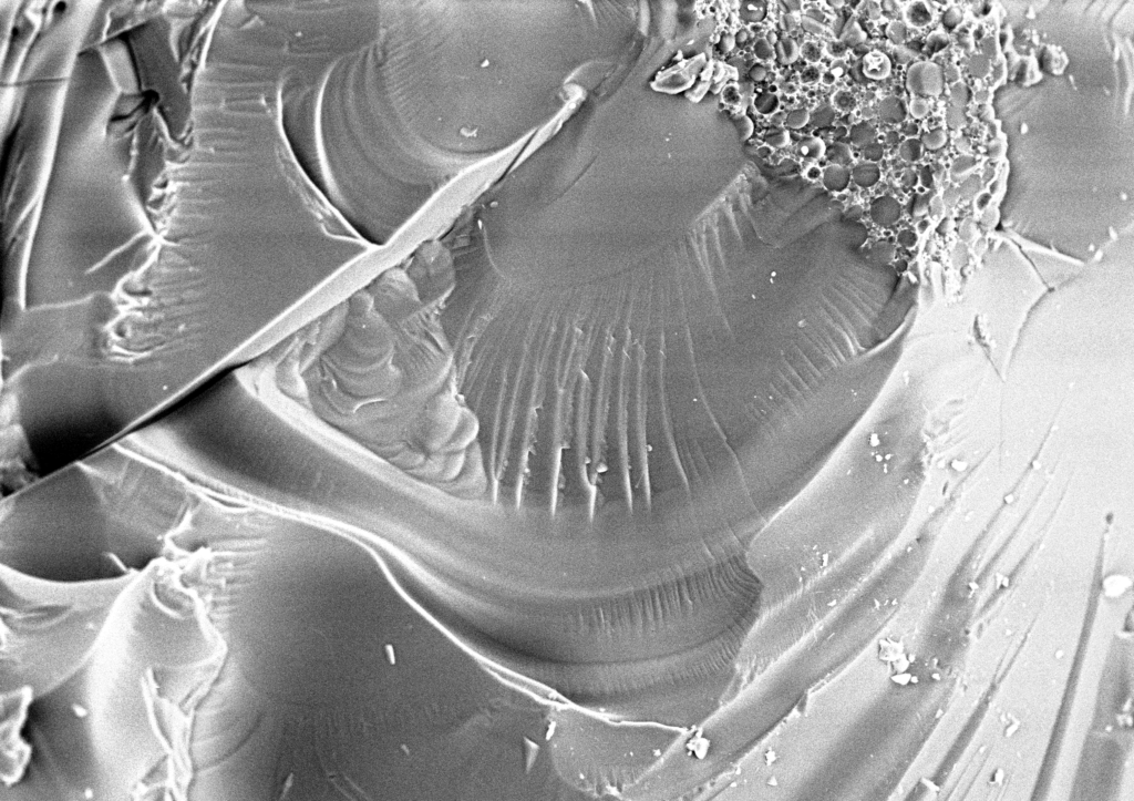 フランキンセンス（乳香）