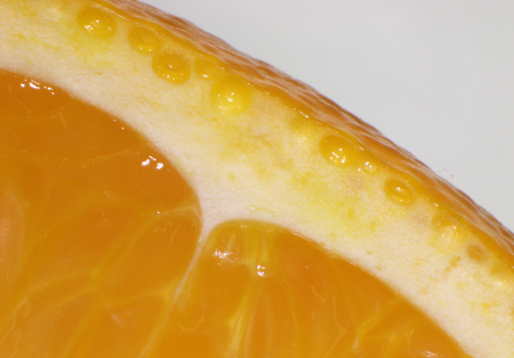 スイートオレンジ