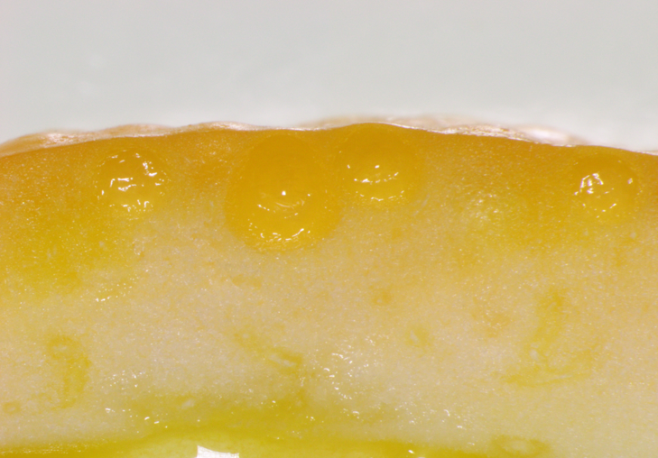 スイートオレンジ