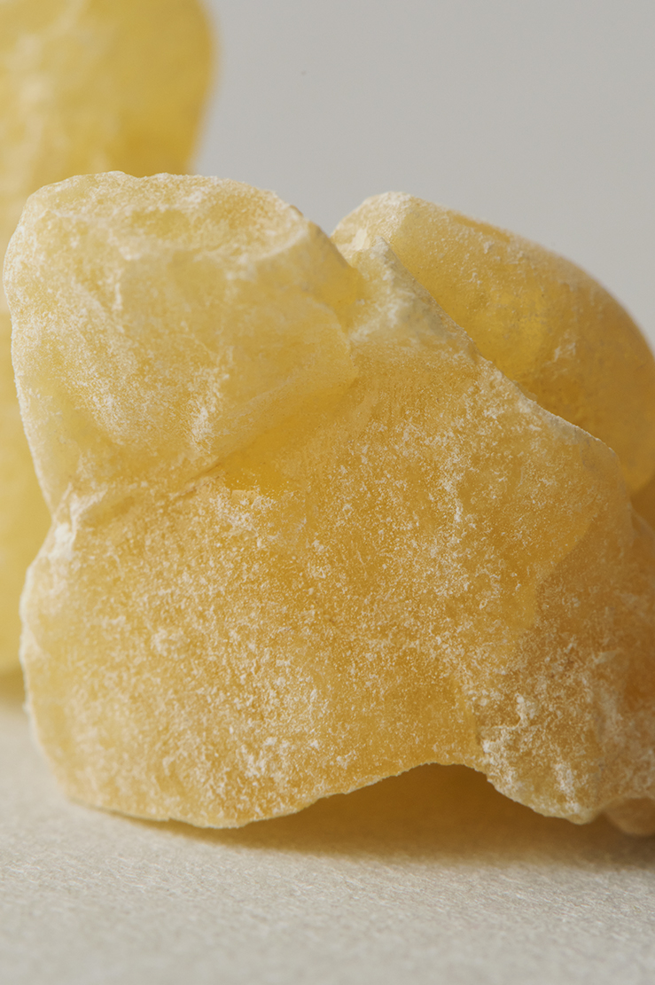 精油成分の抗菌メカニズム