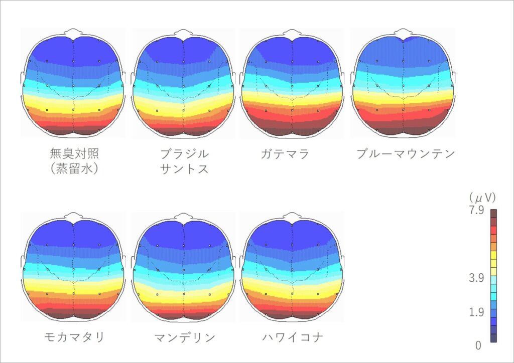 ーコーヒー豆の種類によって、脳のはたらきが変化する ー