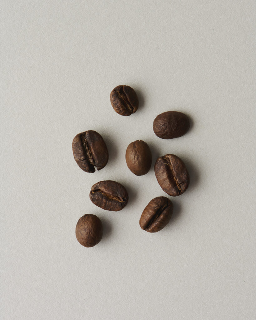 コーヒーノキ