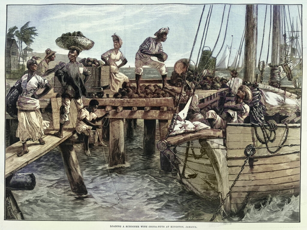 カカオ(ココア)