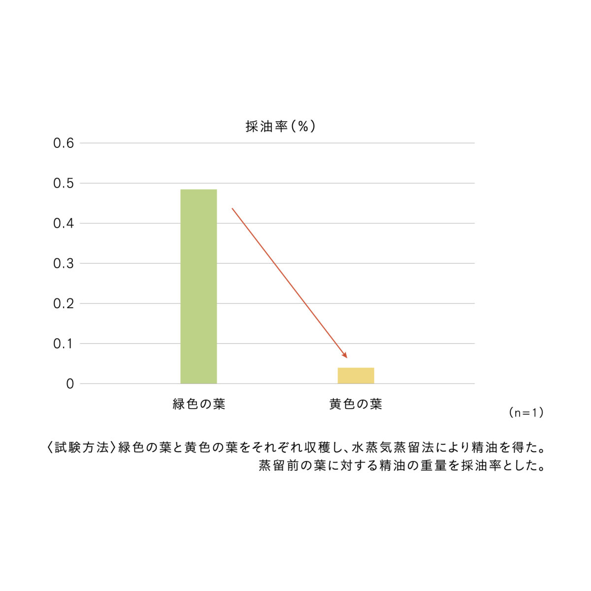ローズゼラニウムの葉の状態と精油について