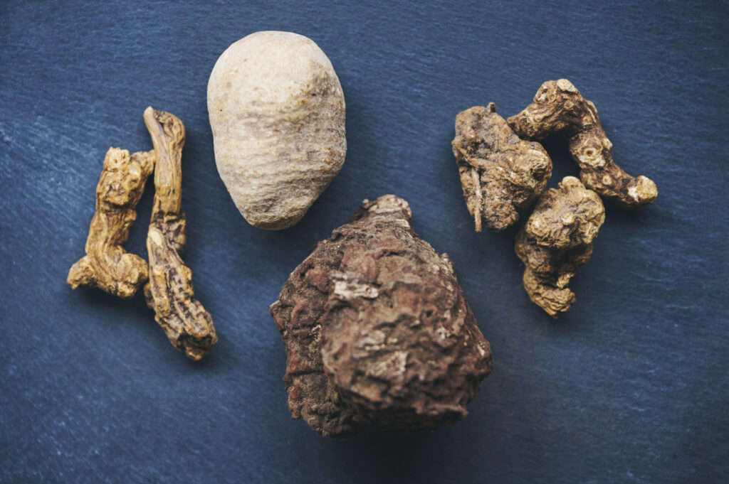 植物の力を東洋医学的な観点から紐解く ーVol.3