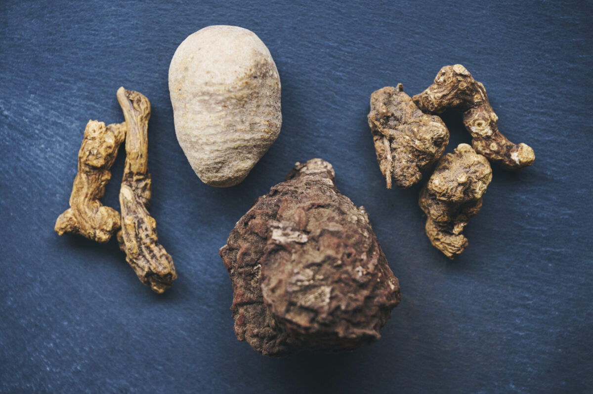 植物の力を東洋医学的な観点から紐解く ーVol.3