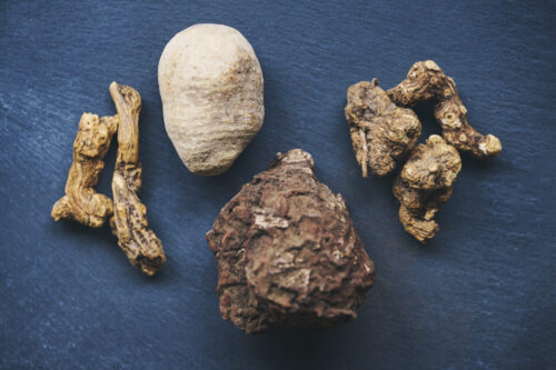 植物の力を東洋医学的な観点から紐解く ーVol.3