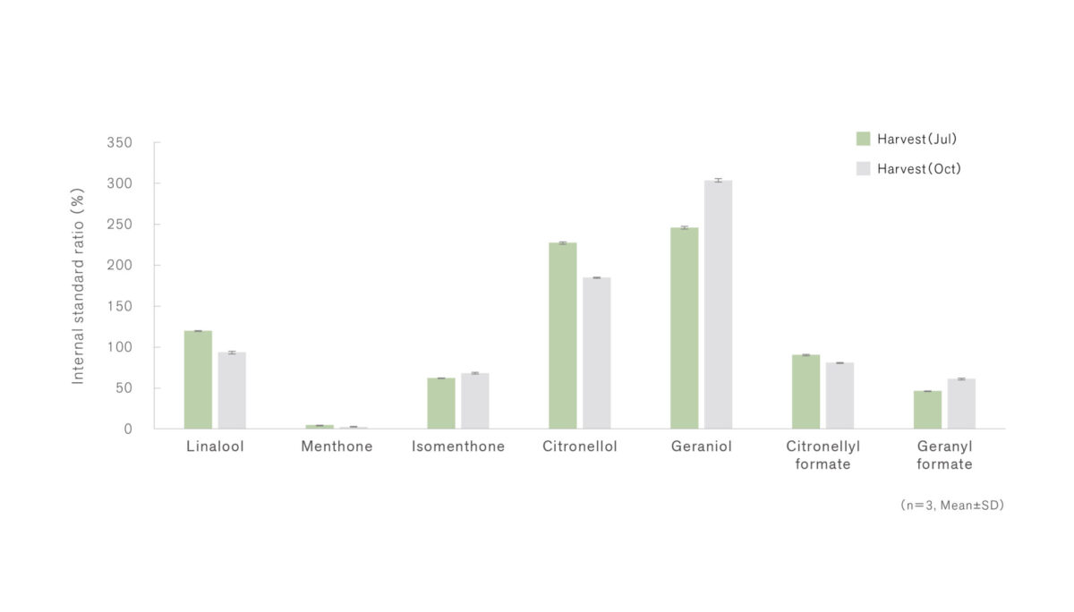 精油の香りはこうして生まれるーVol.2 植物の生育環境と香気成分の関係ー