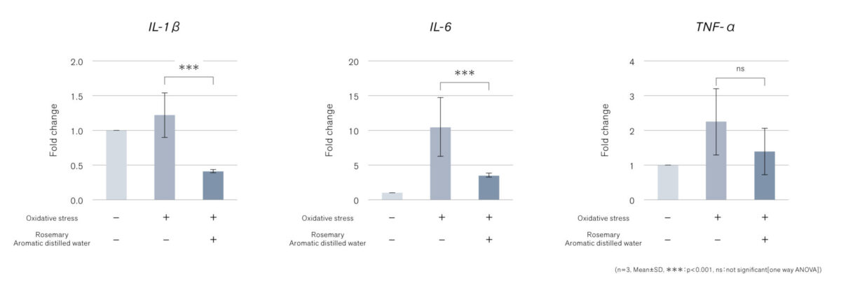 ローズマリー芳香蒸留水の酸化ストレス保護作用を発見