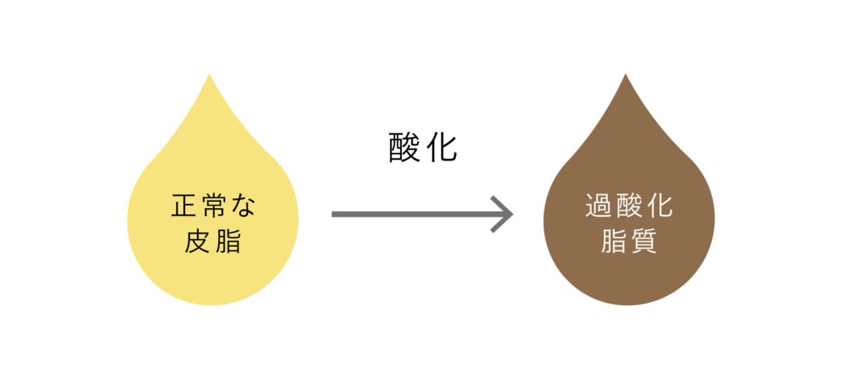 THREEオリジナル ペパーミント精油が脂質の酸化抑制に及ぼす影響　―ロスマリン酸との相乗効果に着目―